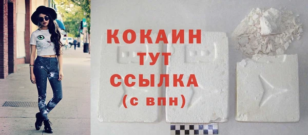 кокс Бородино