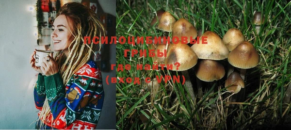 ПСИЛОЦИБИНОВЫЕ ГРИБЫ Бугульма