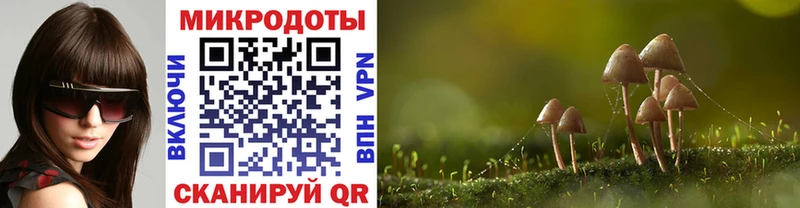 Галлюциногенные грибы MAGIC MUSHROOMS  mega как зайти  Нурлат  как найти закладки 